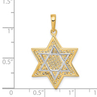 14K w/Rhodium Solid Mesh Star Of David Charm-D895