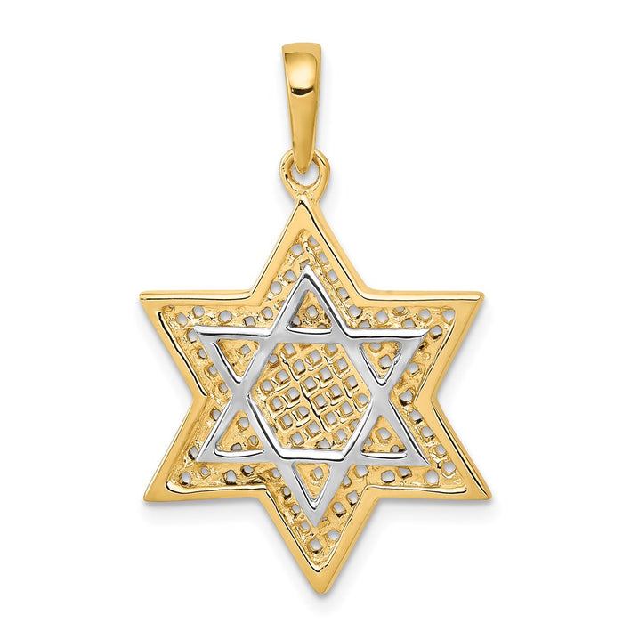 14K w/Rhodium Solid Mesh Star Of David Charm-D895