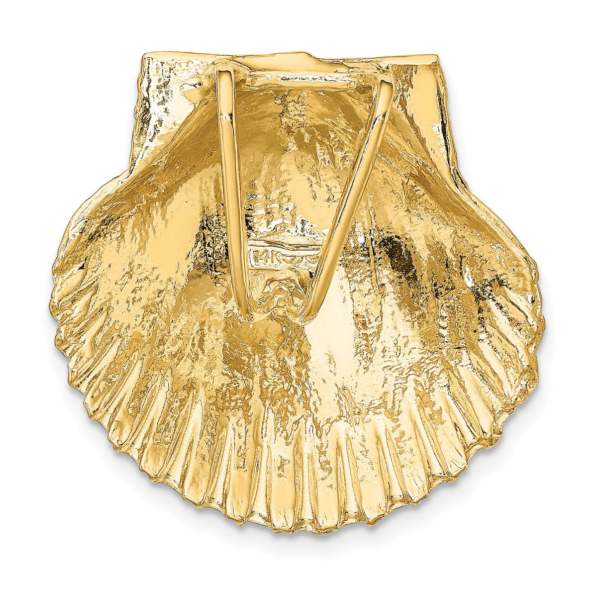 14K Fits Up To 8mm and 10mm Medium Scallop Shell Slide-D995
