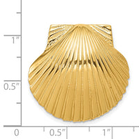 14K Fits Up To 8mm and 10mm Medium Scallop Shell Slide-D995