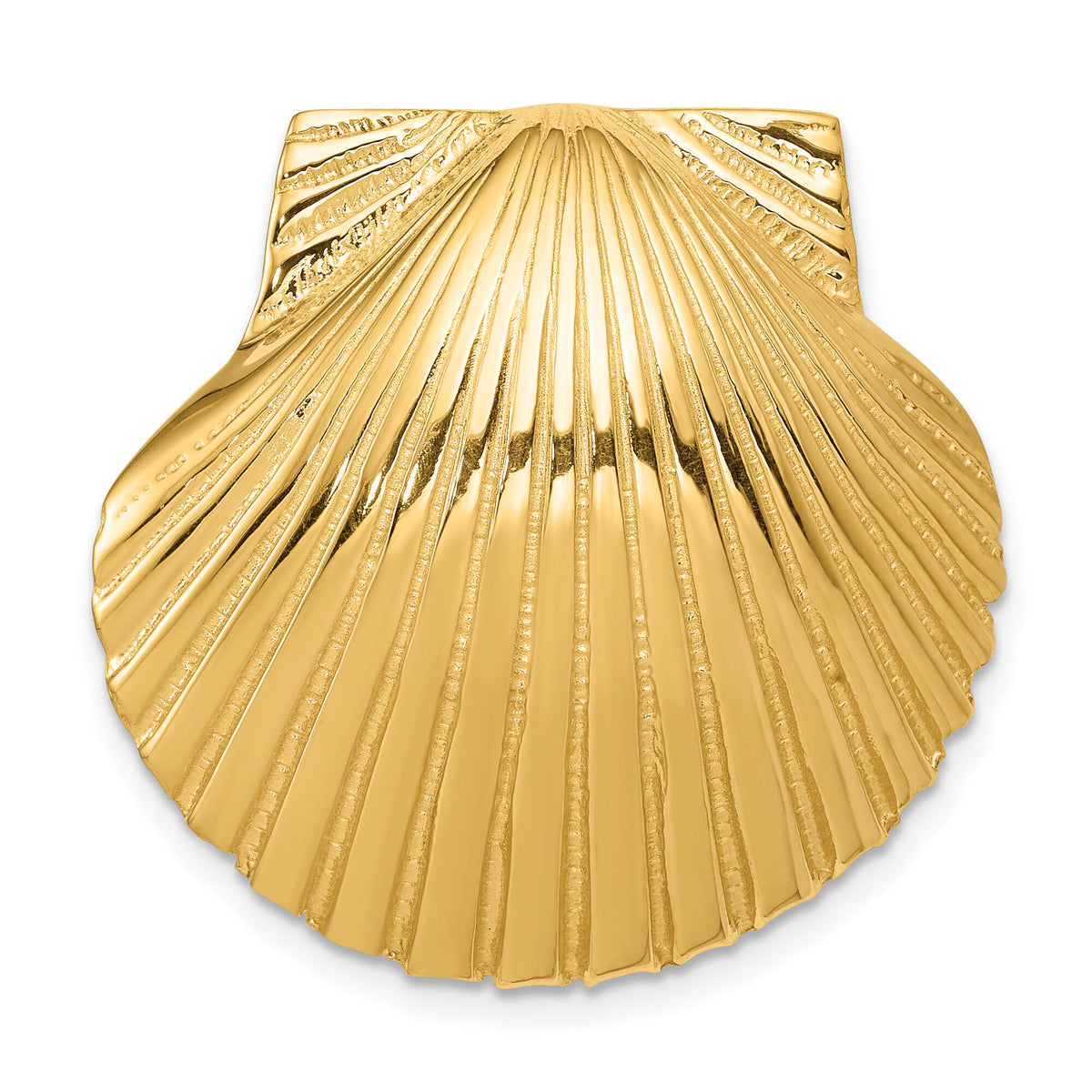 14K Fits Up To 8mm and 10mm Medium Scallop Shell Slide-D995