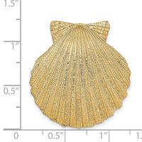 14K Fits Up To 8mm and 10mm Medium Scallop Shell Slide-D997