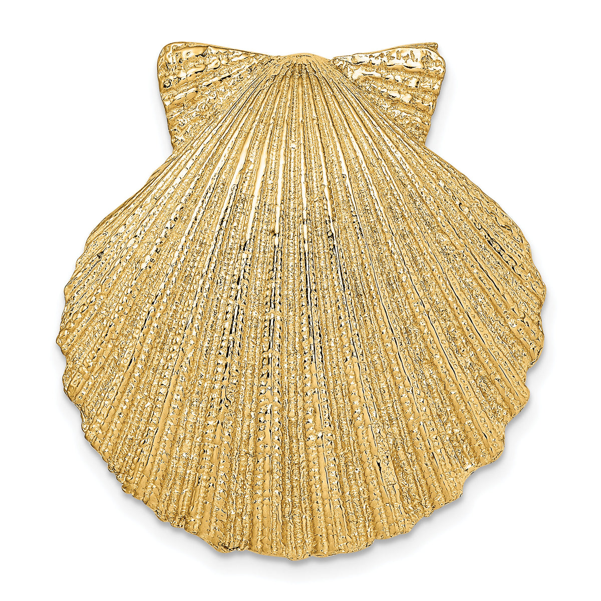 14K Fits Up To 8mm and 10mm Medium Scallop Shell Slide-D997