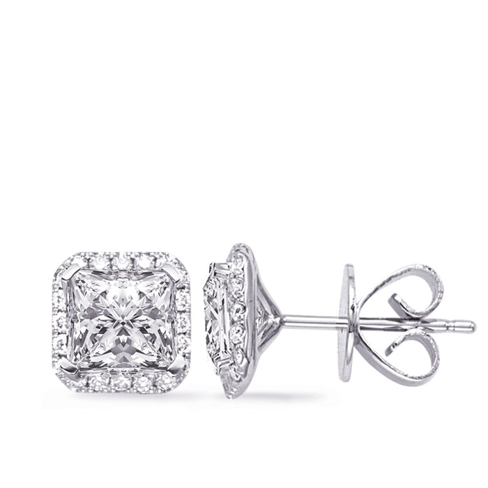 White Gold  Four Prong Princess Earring