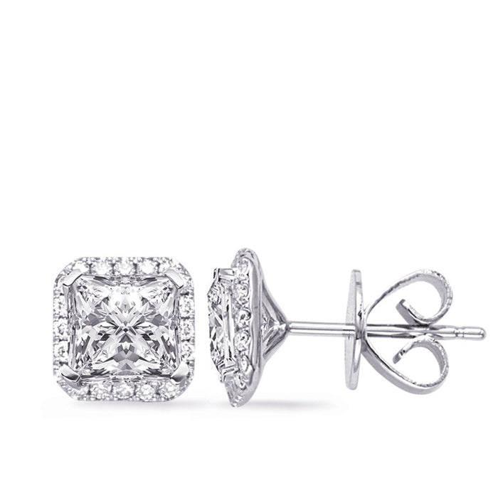 White Gold  Four Prong Princess Earring