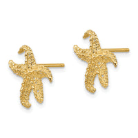 14k Starfish Earrings-E909