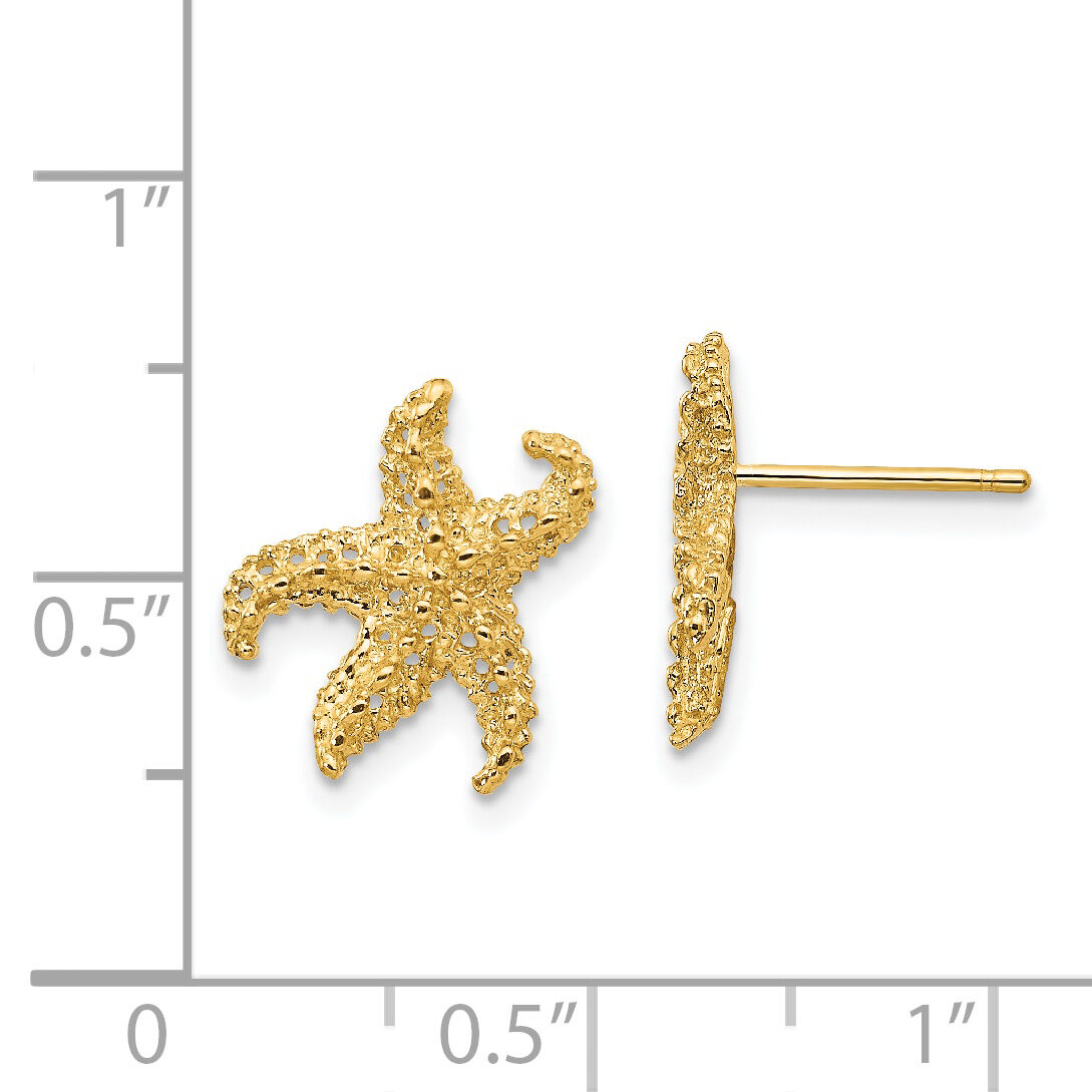 14k Starfish Earrings-E909