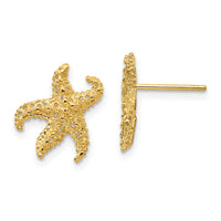 14k Starfish Earrings-E909