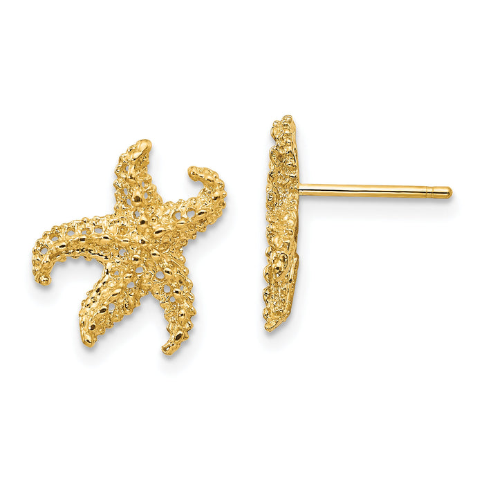 14k Starfish Earrings-E909