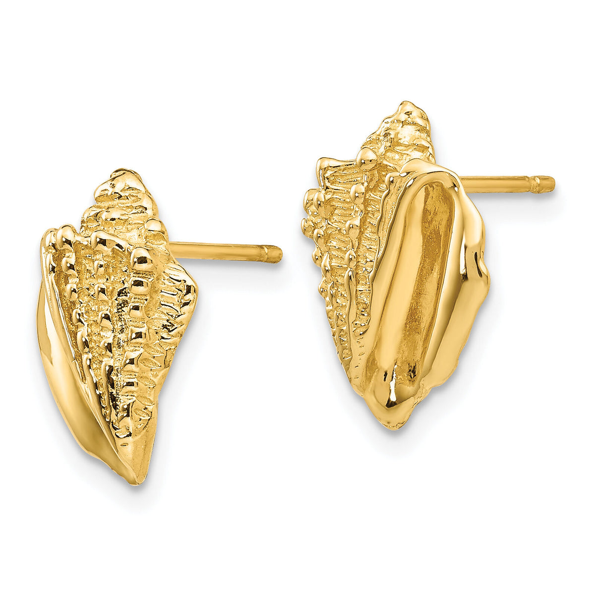 14k Conch Shell Earrings-E916
