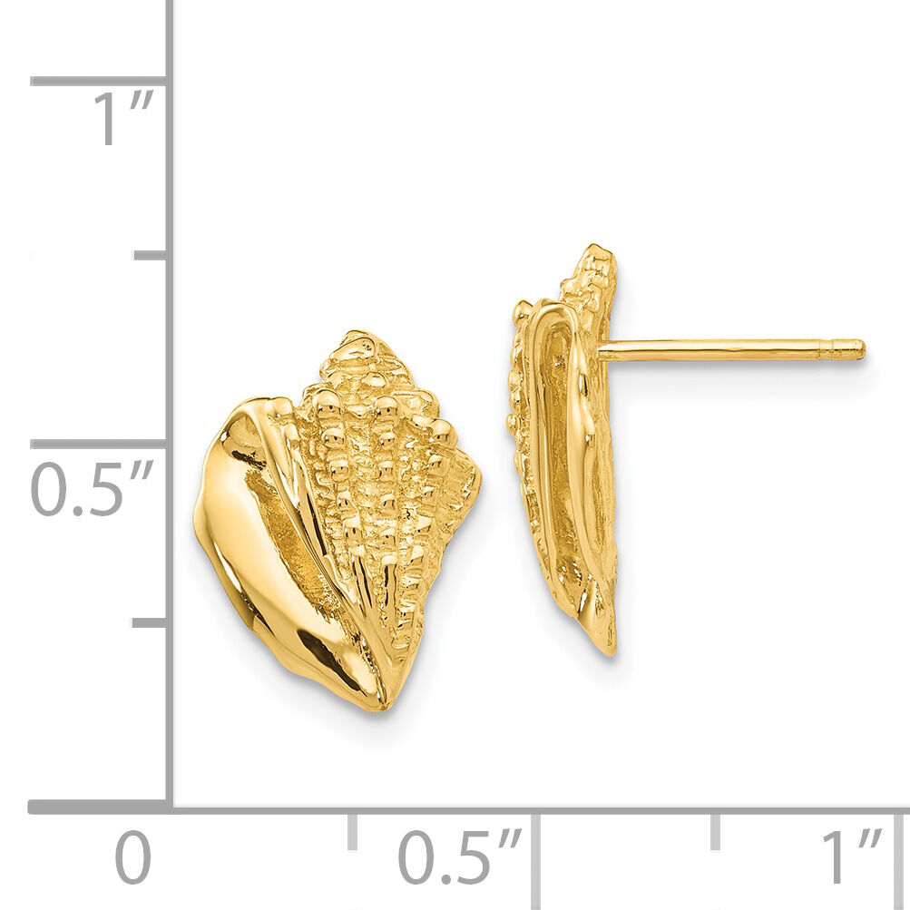 14k Conch Shell Earrings-E916