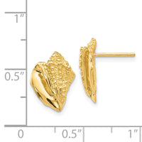 14k Conch Shell Earrings-E916