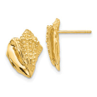 14k Conch Shell Earrings-E916