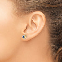 14k Diamond and Sapphire Fancy Earrings-EM3923-SA-009-YA