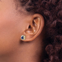 14k Diamond and Sapphire Fancy Earrings-EM3923-SA-013-YA
