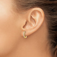 14k Gold Polished Diamond Hinged Hoop Earrings-EM5407-016-YA