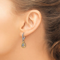 14k Two-tone Oval Cluster Diamond Leverback Earrings-EM5569-025-WYA