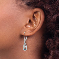 14k White Gold Blue Diamond Leverback Earrings-EM5582-BD-013-WA