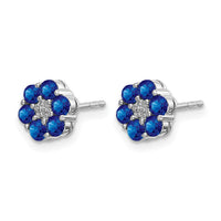 14k White Gold Polished Sapphire and Diamond Post Earrings-EM5609-SA-001-WA