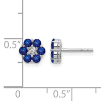14k White Gold Polished Sapphire and Diamond Post Earrings-EM5609-SA-001-WA