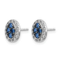 14k White Gold Diamond and Sapphire Oval Post Earrings-EM5611-SA-013-WA