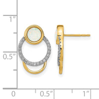 14k Polished Diamond & Opal Circle Post Earrings-EM6908-OP-020-YA