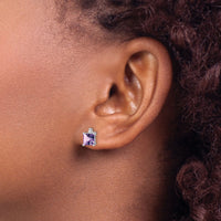 14k White Gold Princess Amethyst and Diamond Earrings-EM7085-AM-001-WA