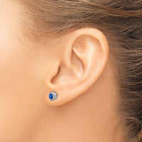 14k White Gold Sapphire and Diamond Earrings-EM7093-SA-012-WA