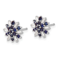 14k White Gold Sapphire and Diamond Earrings-EM7454-SA-18-WA