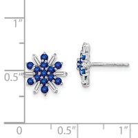 14k White Gold Sapphire and Diamond Earrings-EM7454-SA-18-WA