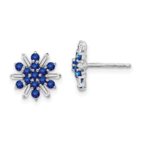 14k White Gold Sapphire and Diamond Earrings-EM7454-SA-18-WA