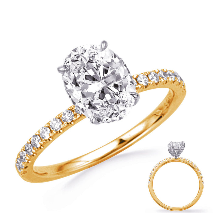 White & Yellow Gold Engagement Ring