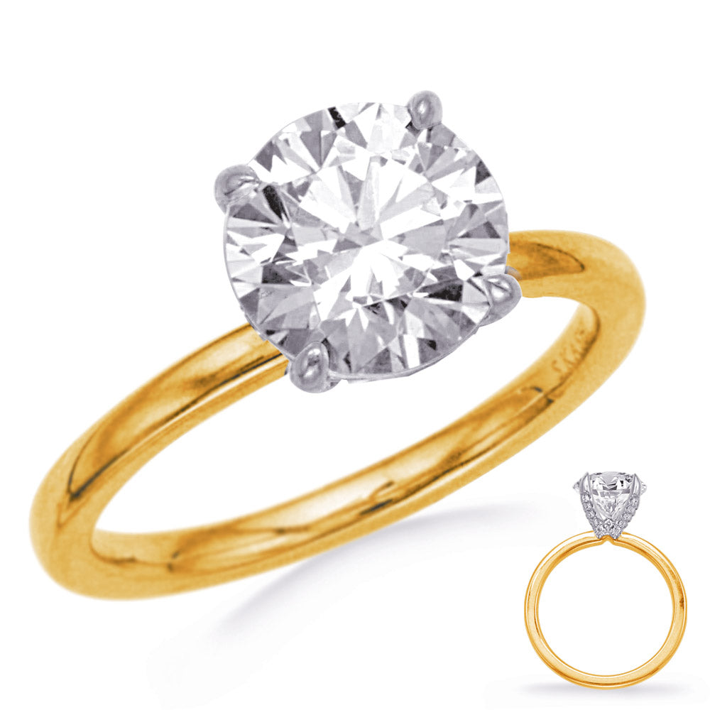 White & Yellow Gold Engagement Ring