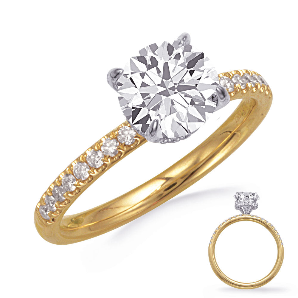 White & Yellow Gold Engagement Ring
