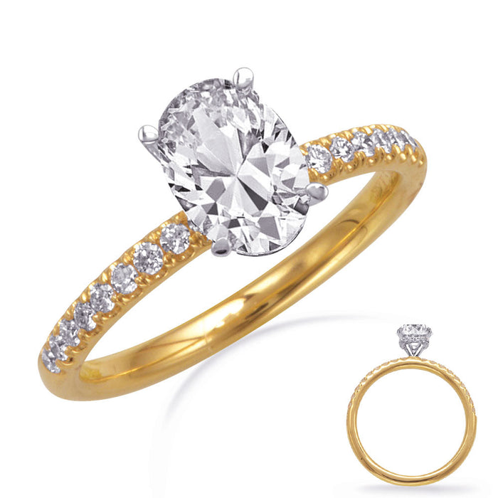 White & Yellow Gold Engagement Ring
