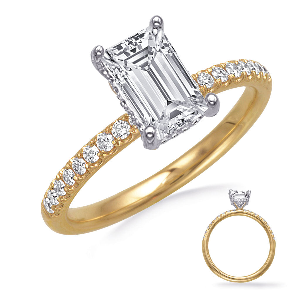 White & Yellow Gold Engagement Ring
