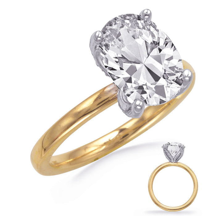 Yellow & White Gold Engagement Ring