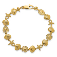 14K Sand Dolloar, Clam, Starfish Bracelet-FB1631-7.25