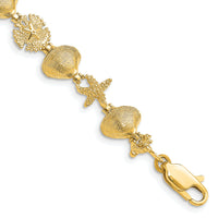 14K Sand Dolloar, Clam, Starfish Bracelet-FB1631-7.25