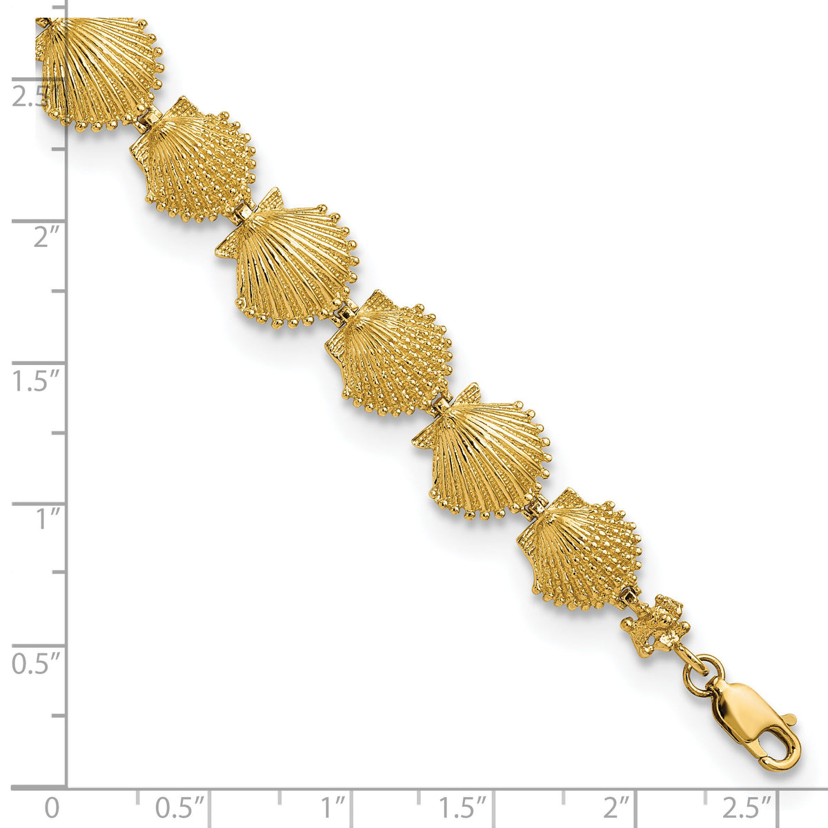 14k Textured Shells 7.25in Bracelet-FB1636-7.25