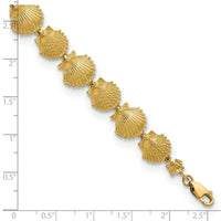 14k Textured Shells 7.25in Bracelet-FB1636-7.25