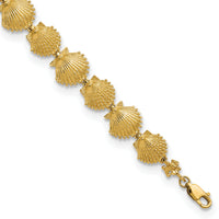 14k Textured Shells 7.25in Bracelet-FB1636-7.25