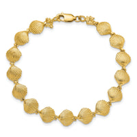 14k Scallop Shell Bracelet-FB1639-7