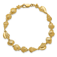 14k Sea Shells Bracelet-FB1690-7.25