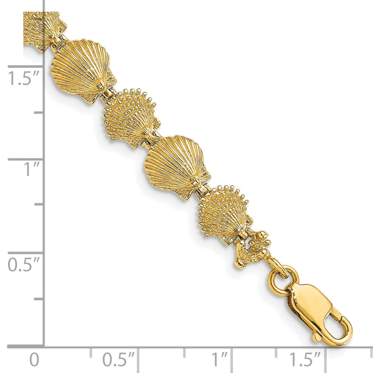 14K Polished /Textured Scallop Shell Bracelet-FB1699-7