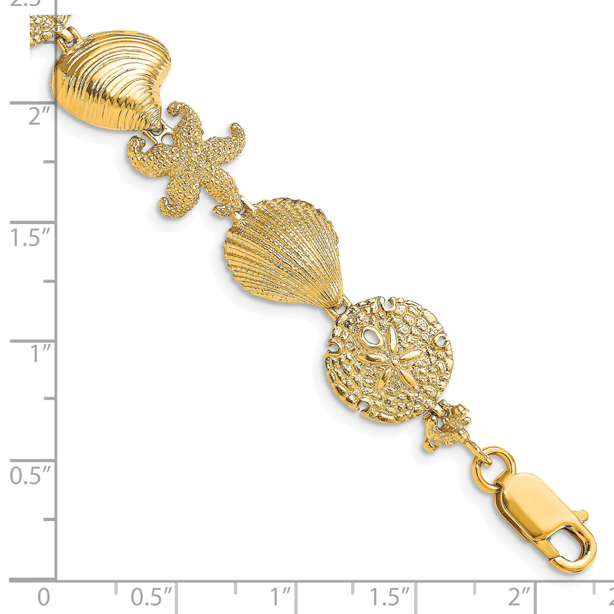 14K Starfish, Shell, Clam Link Bracelet-FB1703-7.5