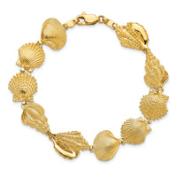 14k Assorted Shell Link Bracelet-FB1709-7.25
