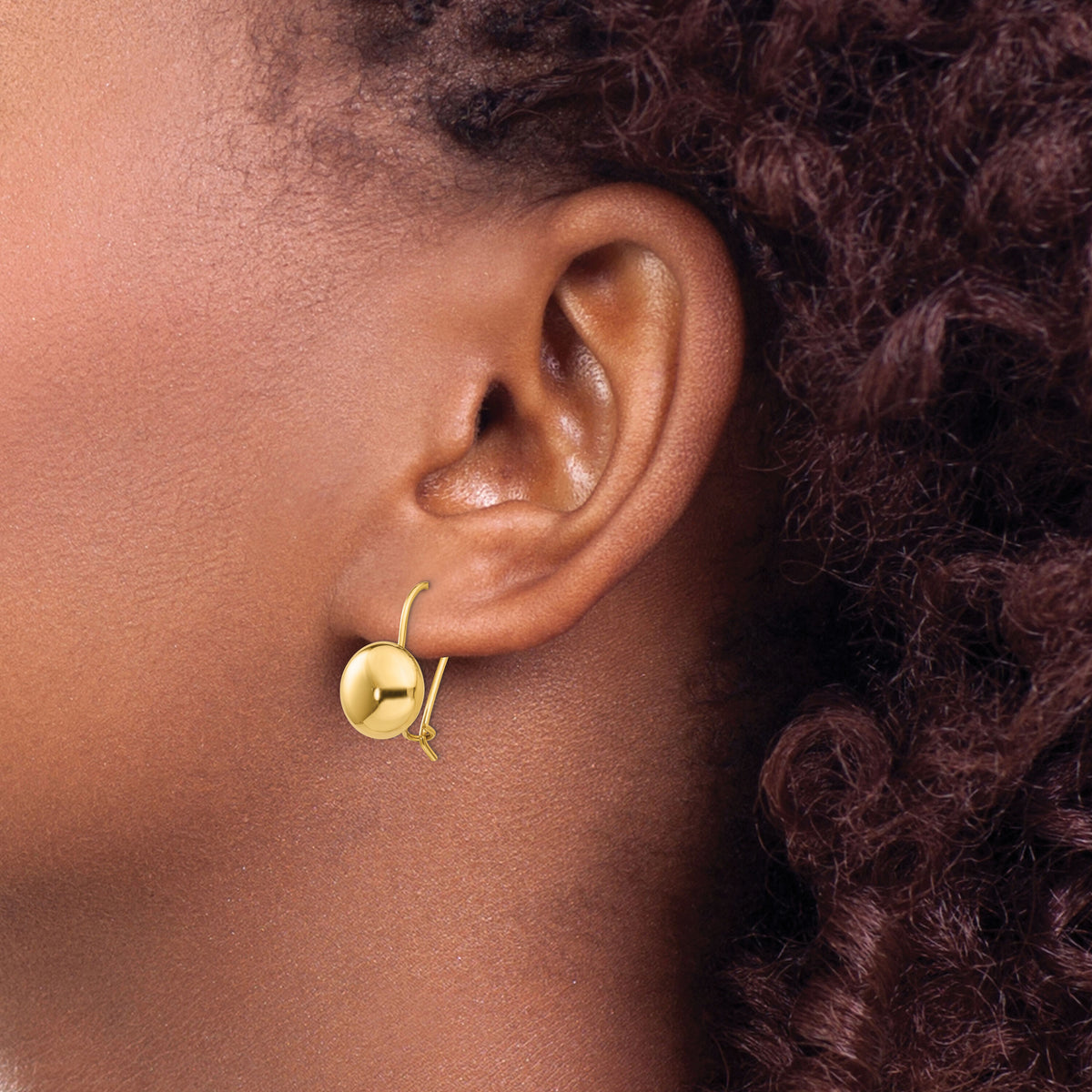 14k Polished 10.5mm Button Kidney Wire Earrings-H1034
