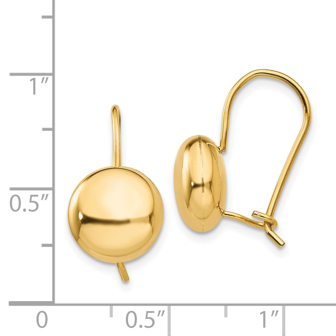 14k Polished 10.5mm Button Kidney Wire Earrings-H1034