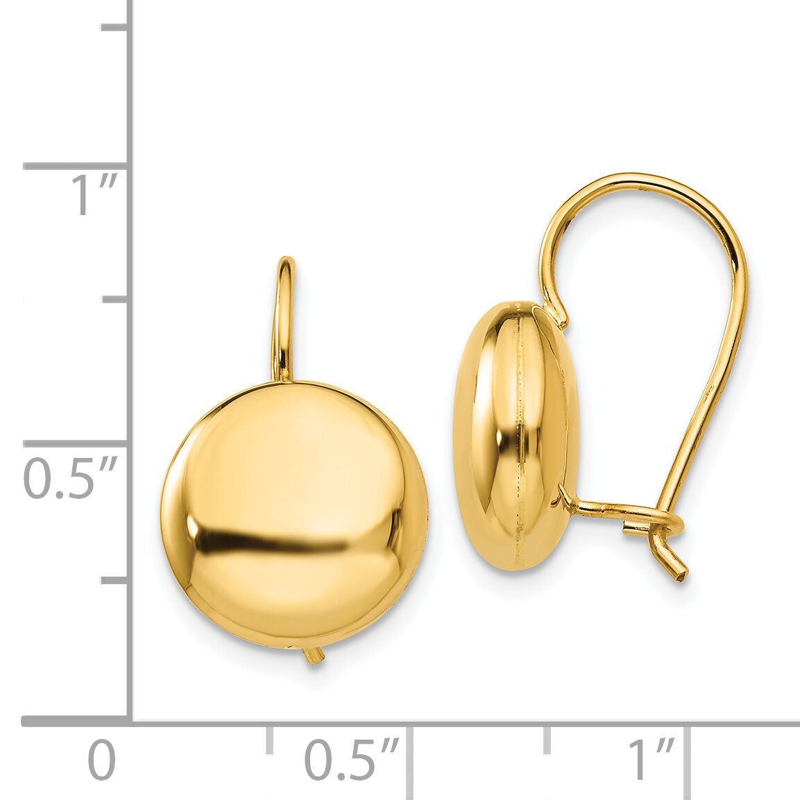 14k Polished 12mm Button Kidney Wire Earrings-H1037
